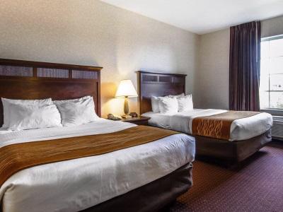 Comfort & Madison North Hotel 3*