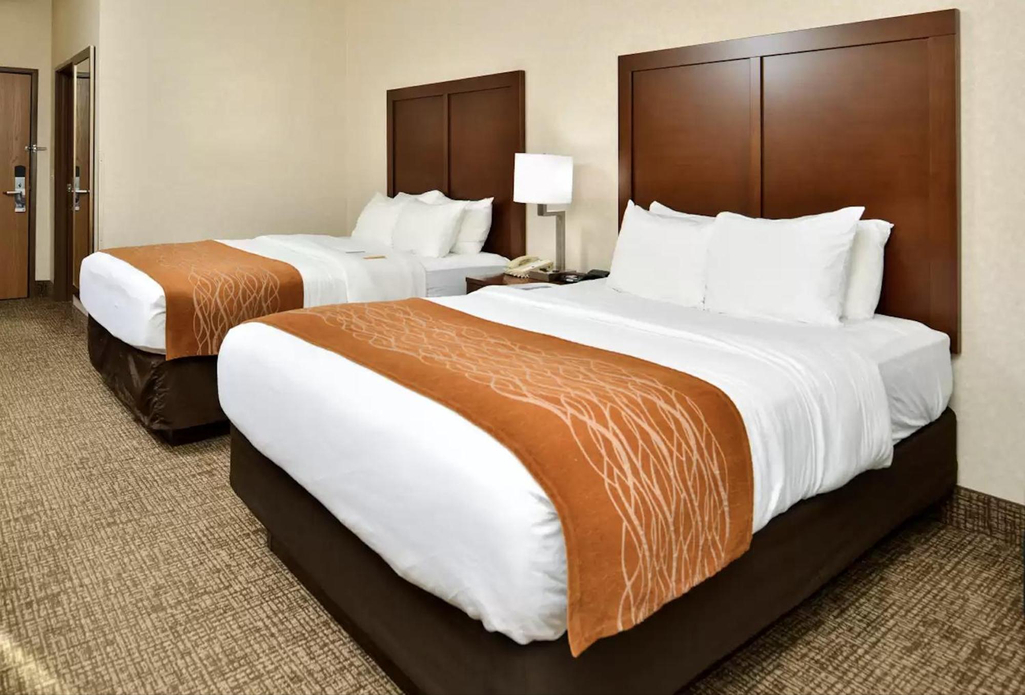 Hotel Comfort & Madison North Deforest