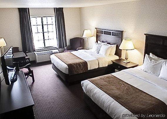 Comfort & Madison North Hotel 3*